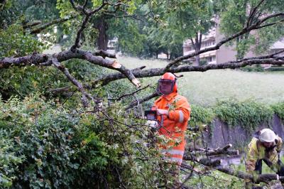 Nuertingen: Umgestuerzter Baum versperrt Berliner Strasse im Rossdorf